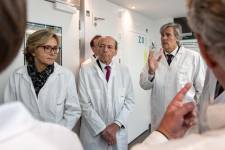 David DINH - DINH DAVID