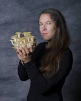 Patrice OLIVIER - PATRICE OLIVIER