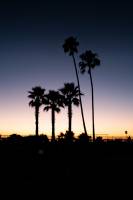 Thomas GIRONA - Graweee